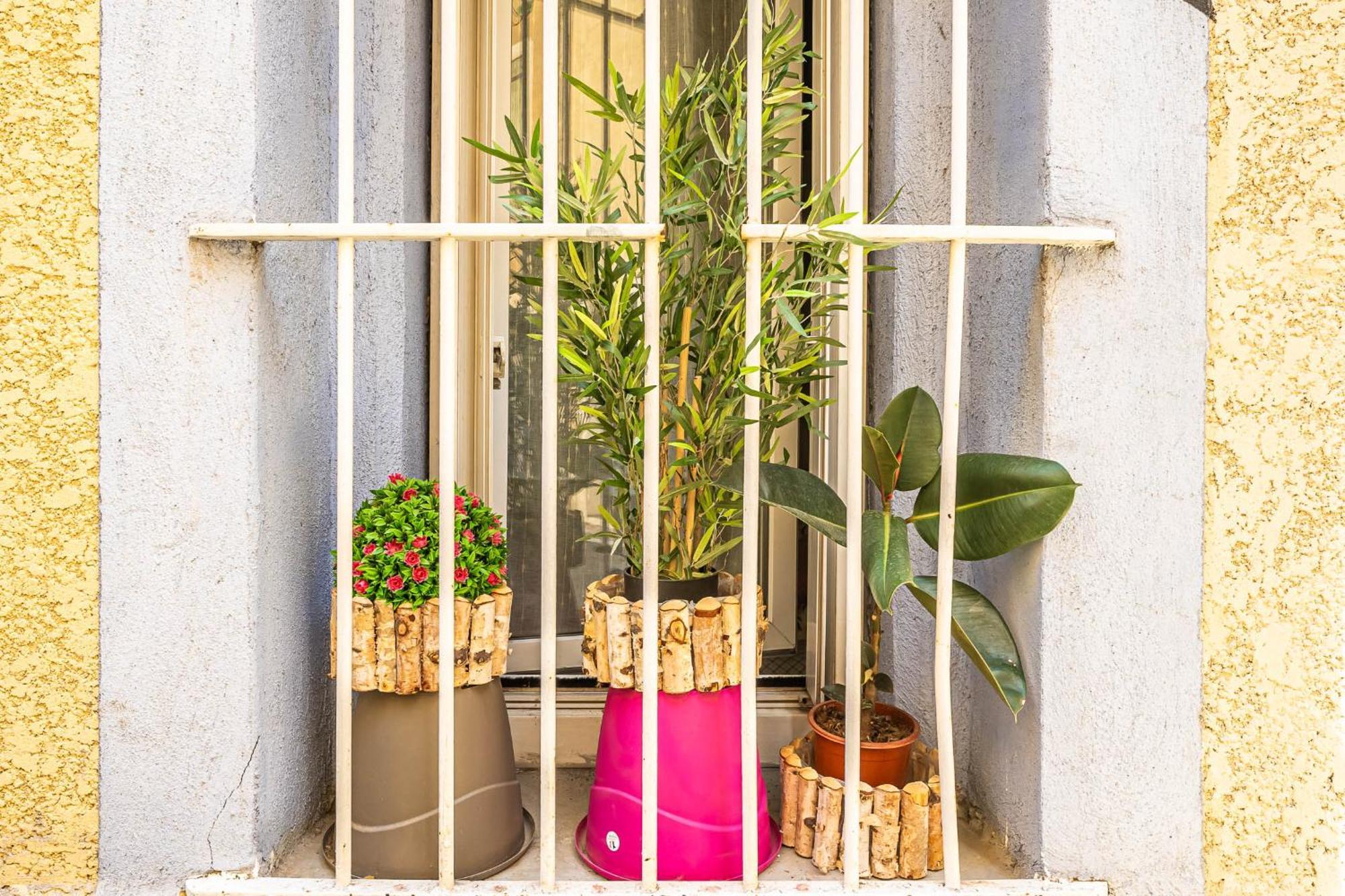 Le Cocon Urbain Apartment Narbonne Ngoại thất bức ảnh